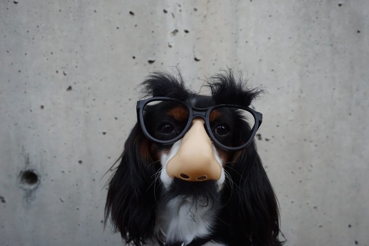 Nose2: Unit Testing for Data Science with Python