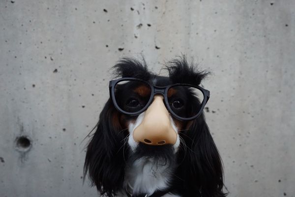 Nose2: Unit Testing for Data Science with Python