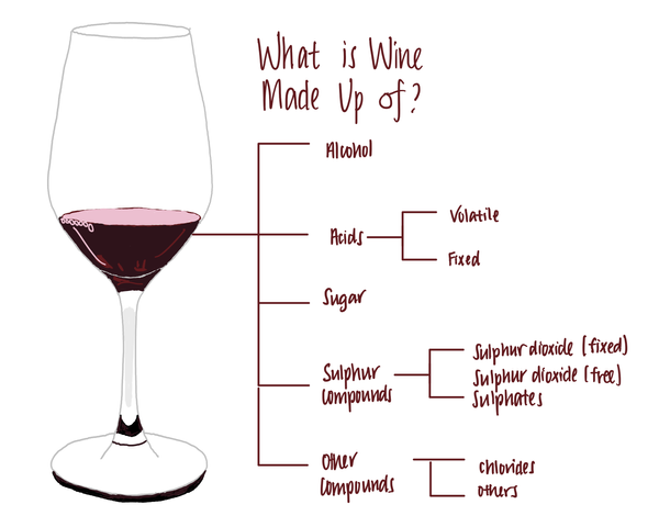 What Makes Great Wine… Great?
